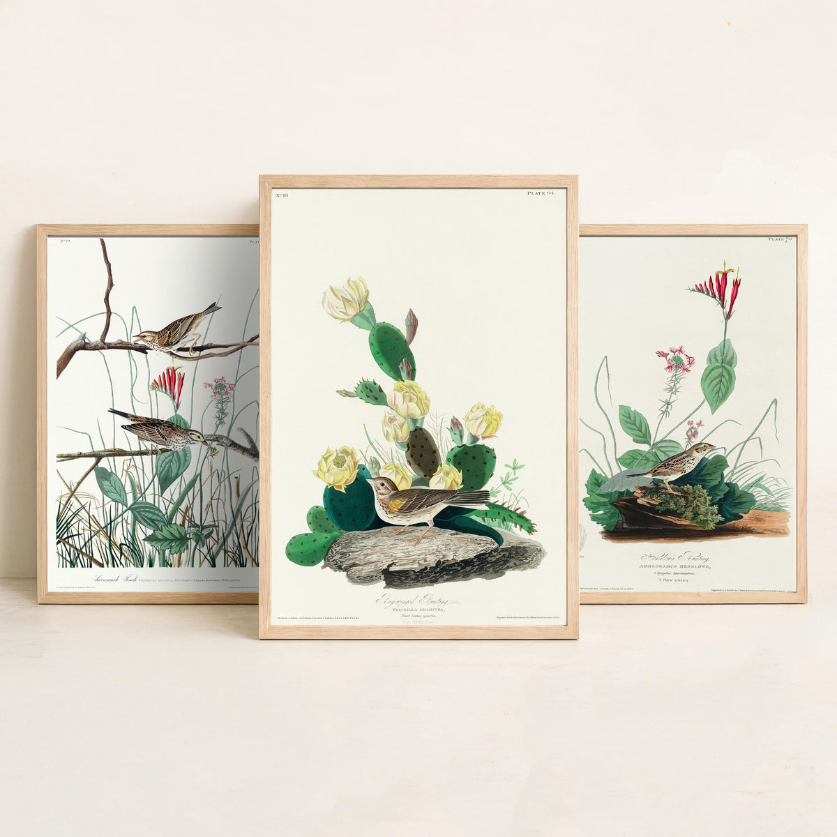 Set of Three John James Audubon Prints - Savannah Finch Henslow's Bunting Grass Finch - 3 Sparrow Paintings Poster Wall Art Gift