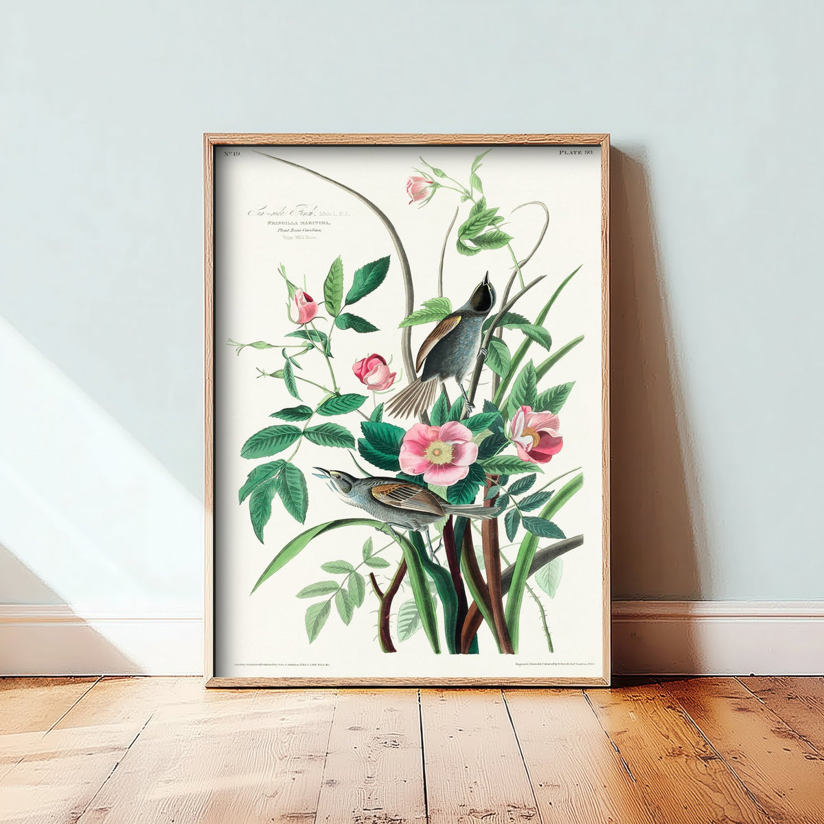 Seaside Sparrow - John James Audubon Birds of America - Vintage Ornithology Art Print Poster Illustration