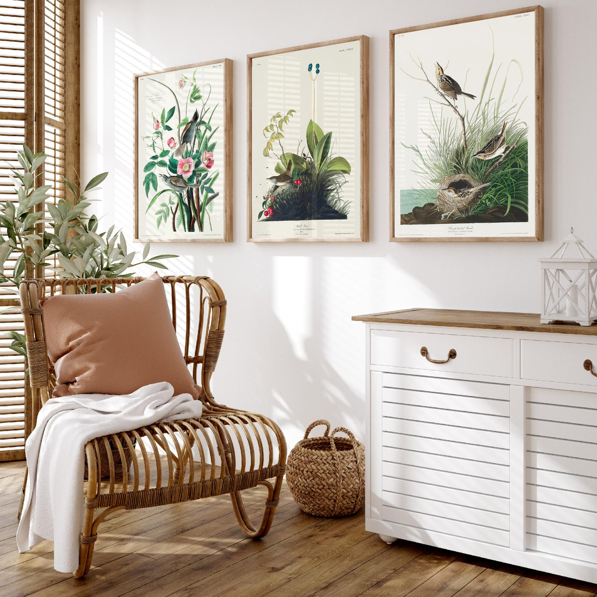 Set of Three John James Audubon Prints - Sea-side Finch Wood Wren Sharp-tailed Finch - 3 Bird Paintings Poster Wall Art Gift Vintage