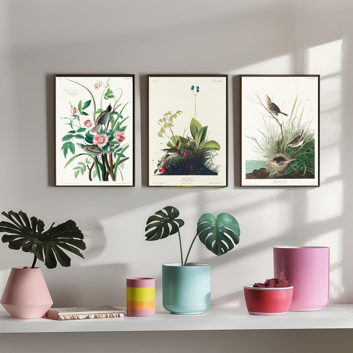 Set of Three John James Audubon Prints - Sea-side Finch Wood Wren Sharp-tailed Finch - 3 Bird Paintings Poster Wall Art Gift Vintage