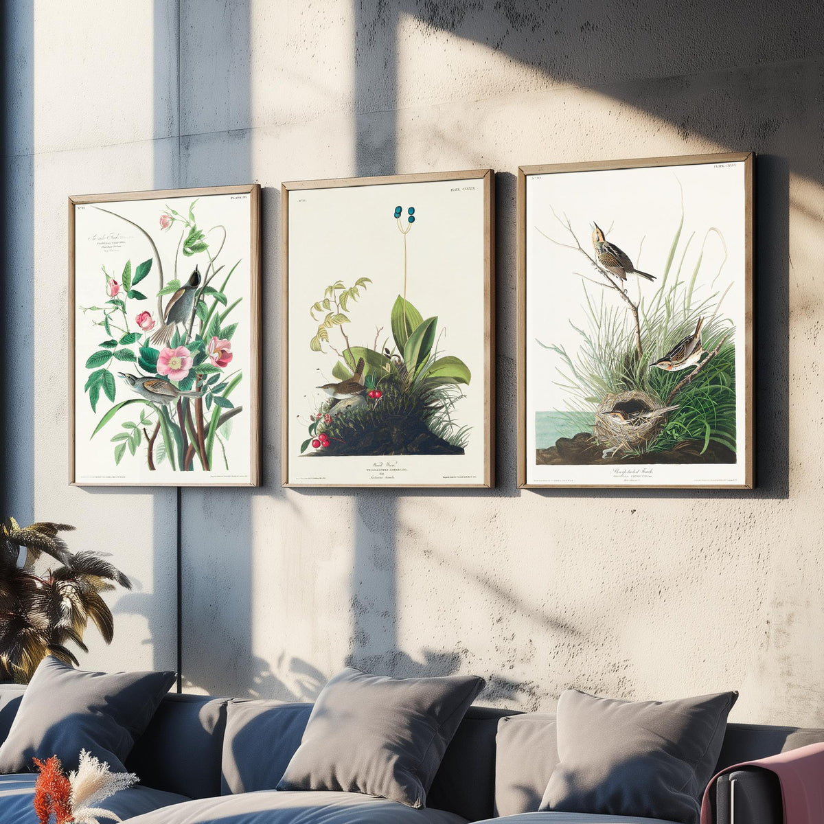 Set of Three John James Audubon Prints - Sea-side Finch Wood Wren Sharp-tailed Finch - 3 Bird Paintings Poster Wall Art Gift Vintage