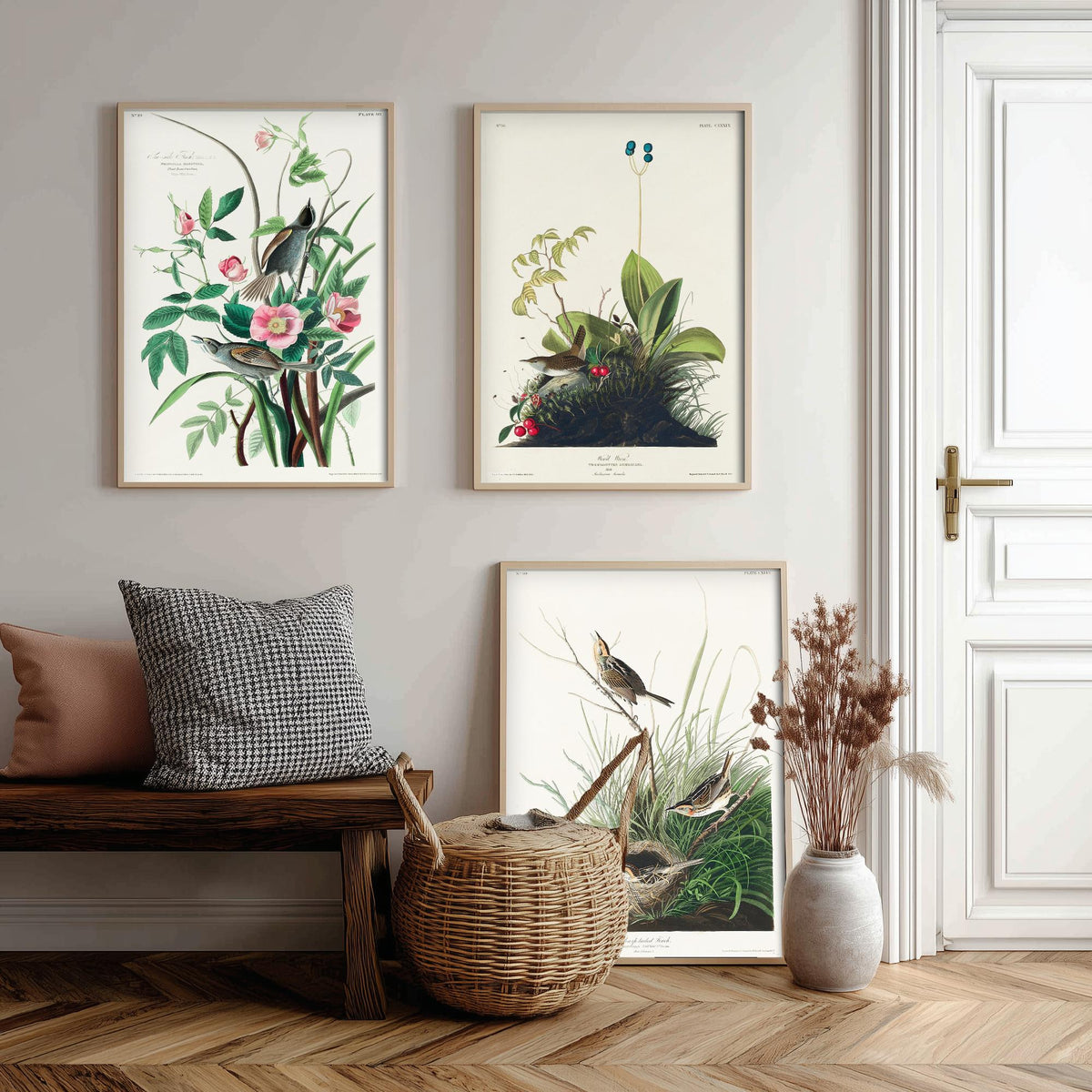 Set of Three John James Audubon Prints - Sea-side Finch Wood Wren Sharp-tailed Finch - 3 Bird Paintings Poster Wall Art Gift Vintage