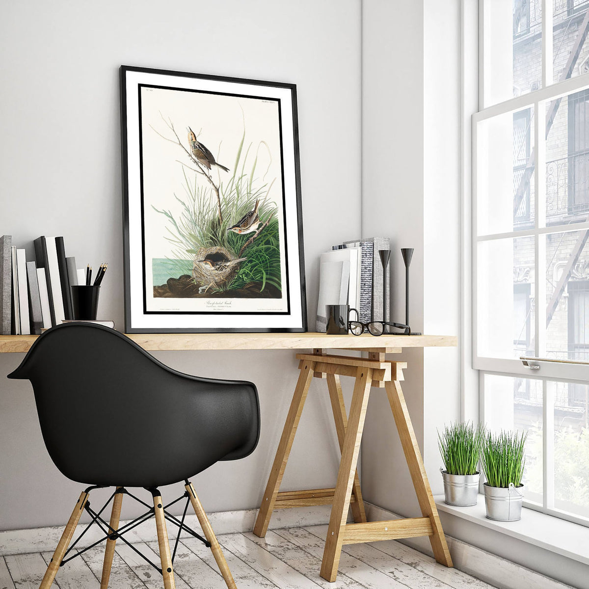 Saltmarsh Sparrow - Sharp-tailed Finch - John James Audubon Birds of America - Vintage Art Print Poster Illustration