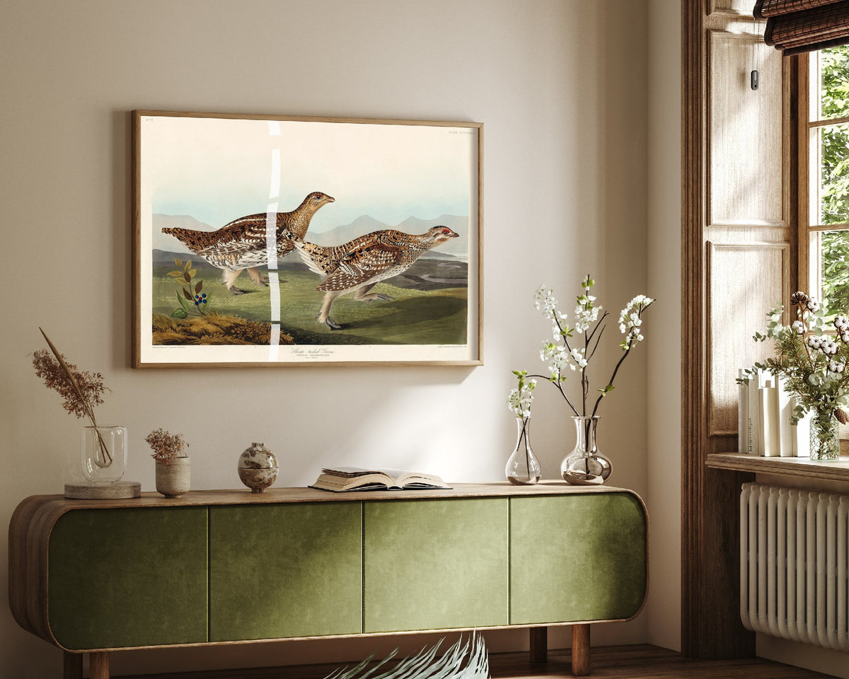 Sharp-tailed Grouse - John James Audubon Birds of America - Vintage Ornithology Art Print Poster Illustration