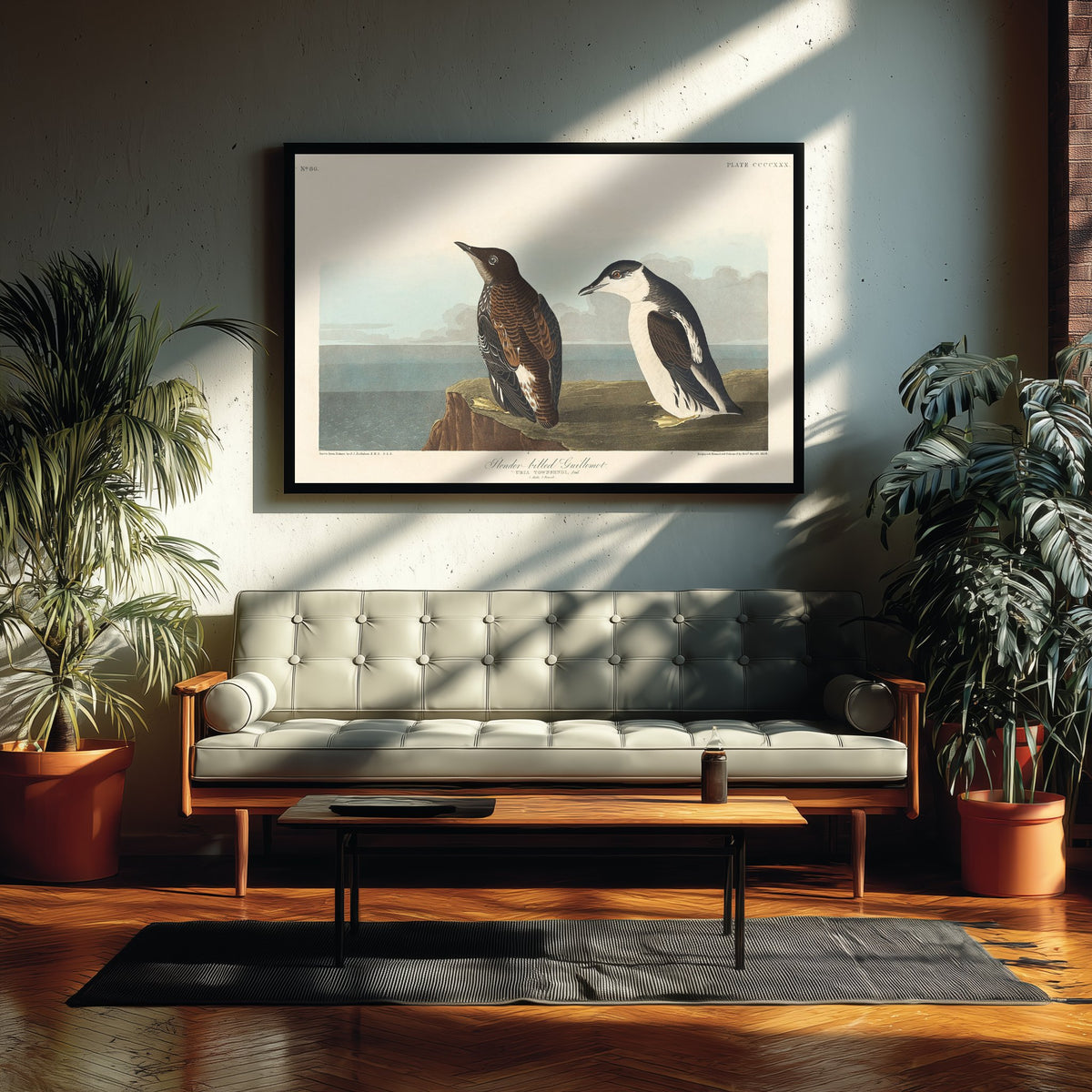 Common Murre - Slender-billed Guillemot - John James Audubon Birds of America - Vintage Art Print Poster Illustration