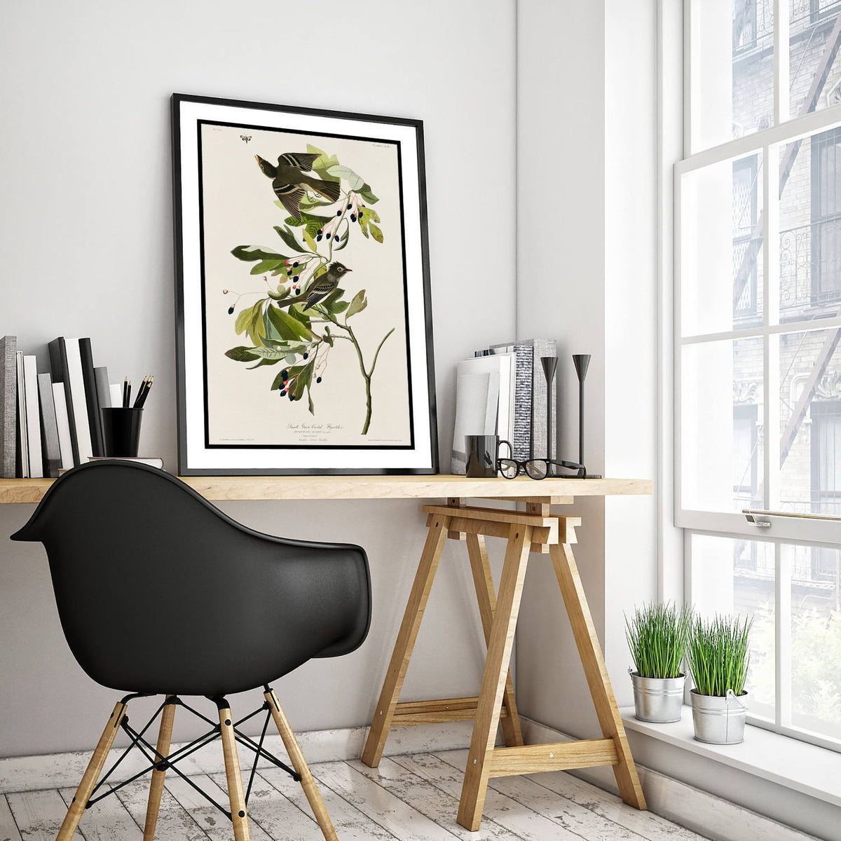 Acadian Flycatcher - John James Audubon Birds of America - Vintage Ornithology Art Print Poster Illustration