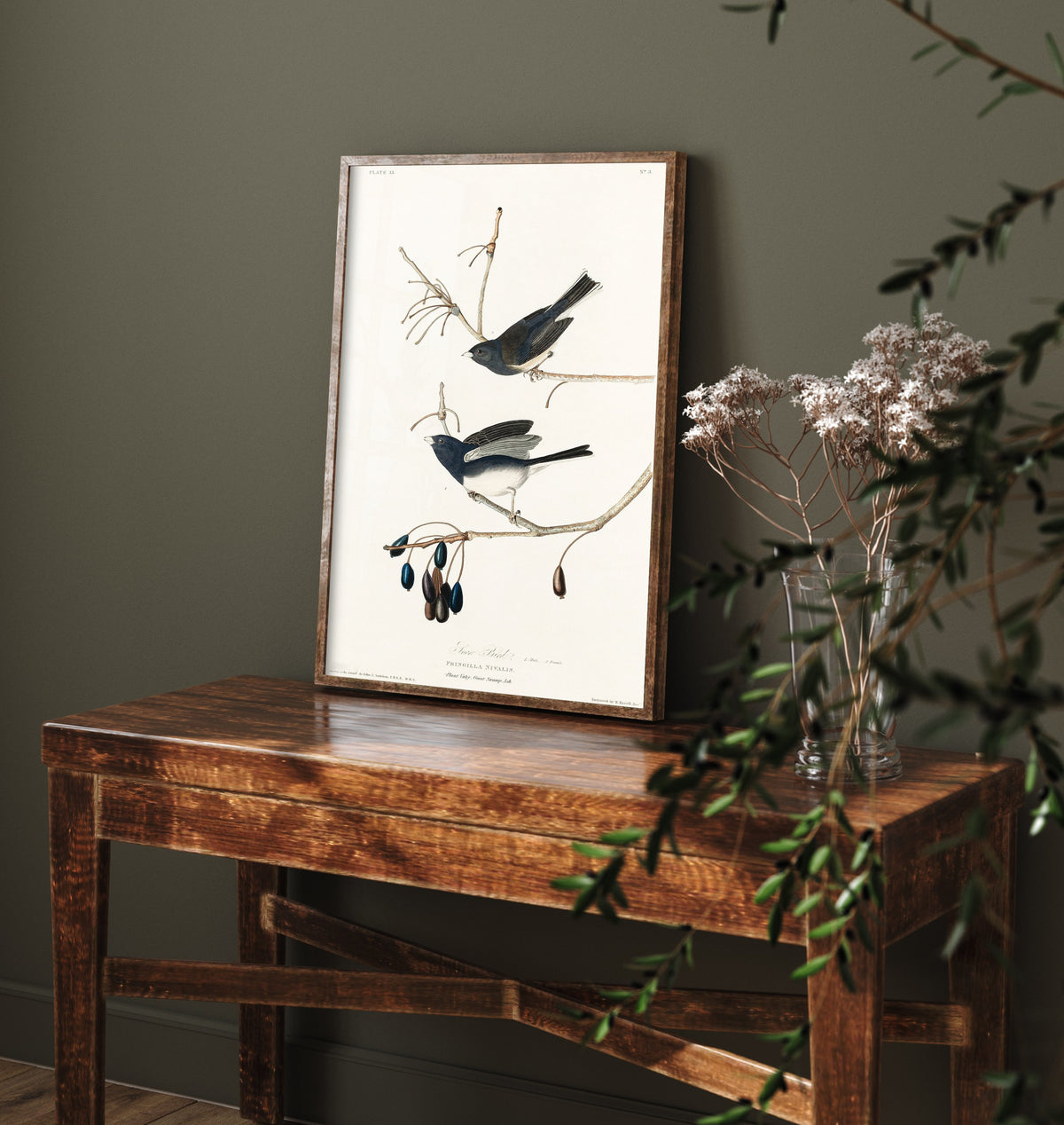Dark-eyed Junco Art Print - John James Audubon Birds of America Poster - Snow Bird Vintage Illustration