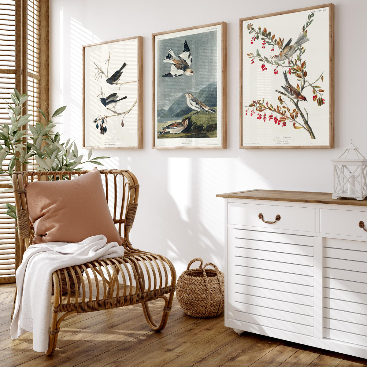 Set of Three John James Audubon Prints - Snow Bird Snow Bunting Tree Sparrow - 3 Bird Paintings Poster Wall Art Gift Ornithology