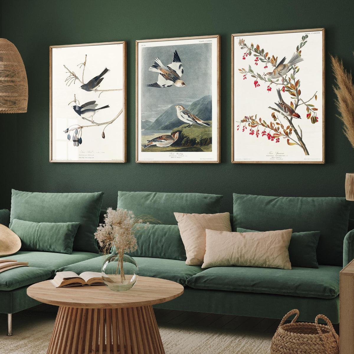 Set of Three John James Audubon Prints - Snow Bird Snow Bunting Tree Sparrow - 3 Bird Paintings Poster Wall Art Gift Ornithology