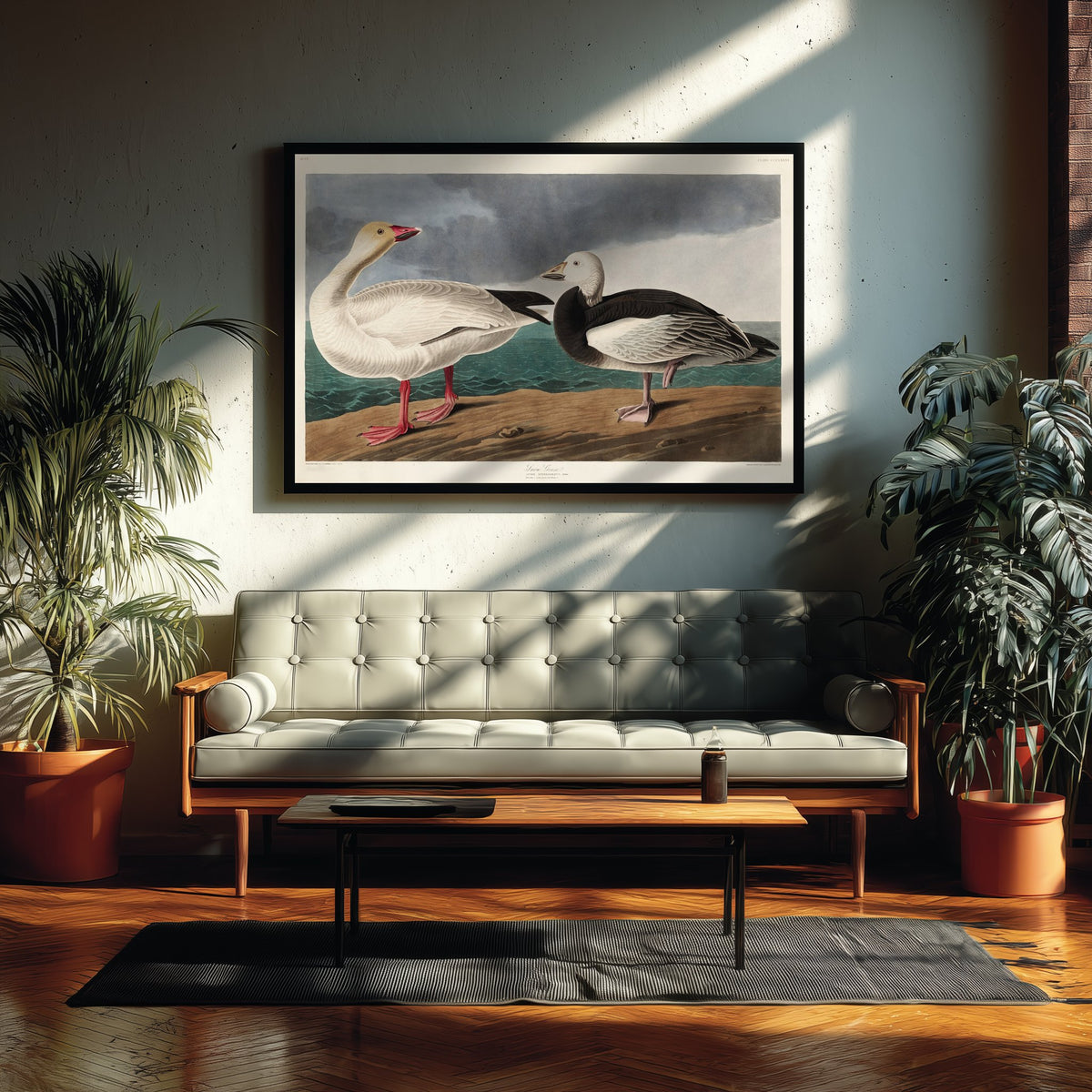 Snow Goose Art Print - John James Audubon Birds of America Poster - Vintage Ornithology Illustration