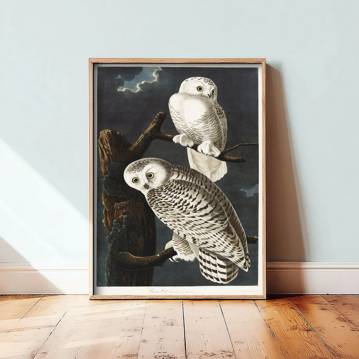 Snowy Owl Art Print - John James Audubon Birds of America Poster - Vintage Ornithology Illustration
