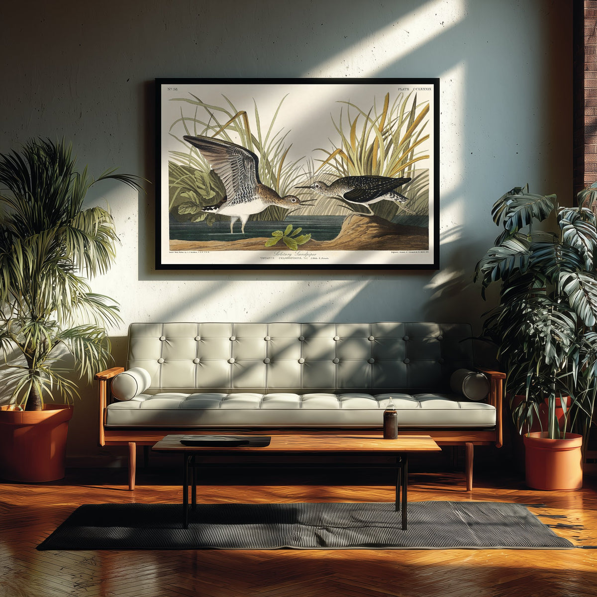 Solitary Sandpiper Art Print - John James Audubon Birds of America Poster - Vintage Bird Illustration