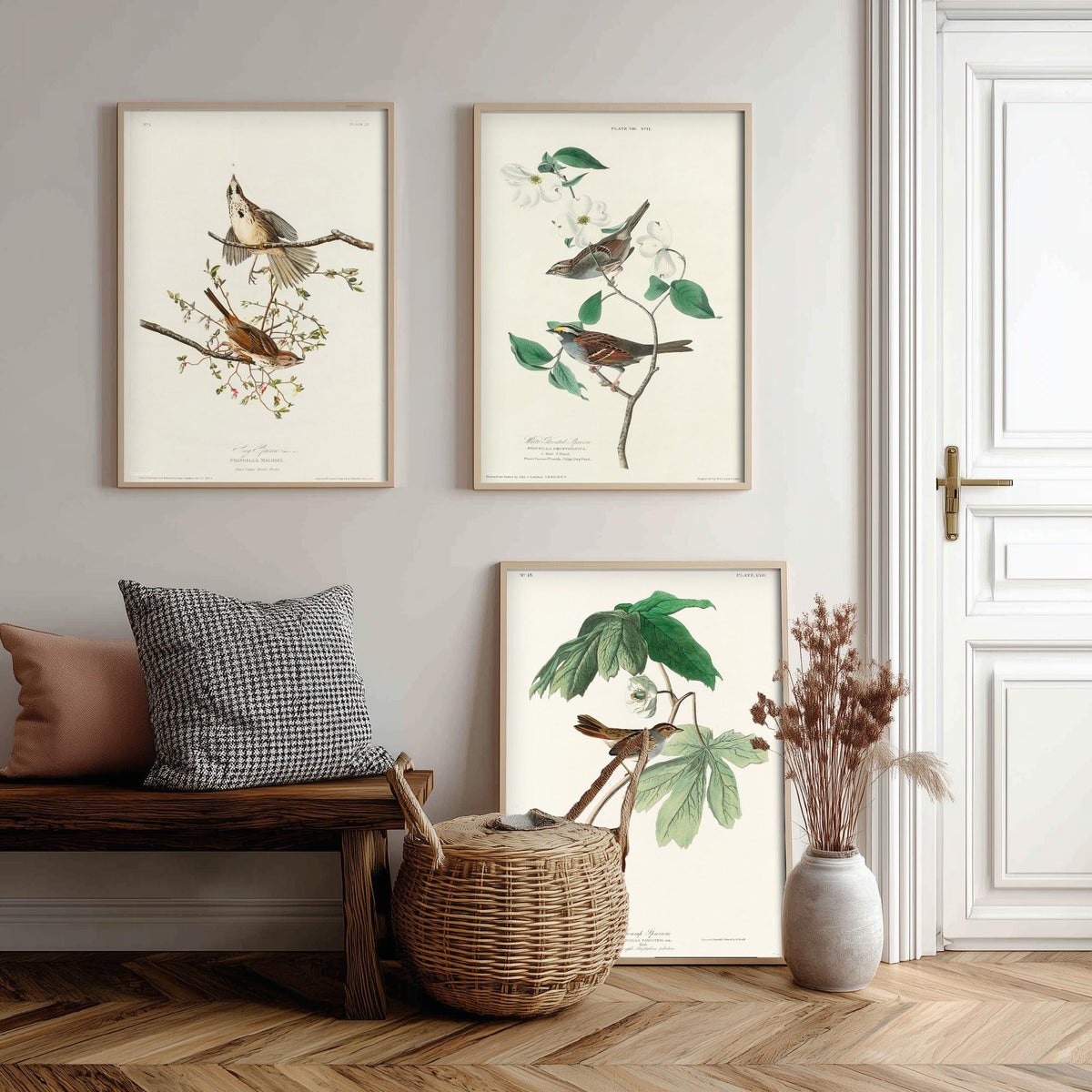 Set of Three John James Audubon Prints - Song White-throated and Swamp Sparrow - 3 Bird Paintings Poster Wall Art Gift Ornithology