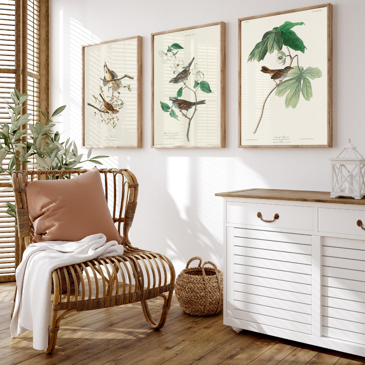 Set of Three John James Audubon Prints - Song White-throated and Swamp Sparrow - 3 Bird Paintings Poster Wall Art Gift Ornithology