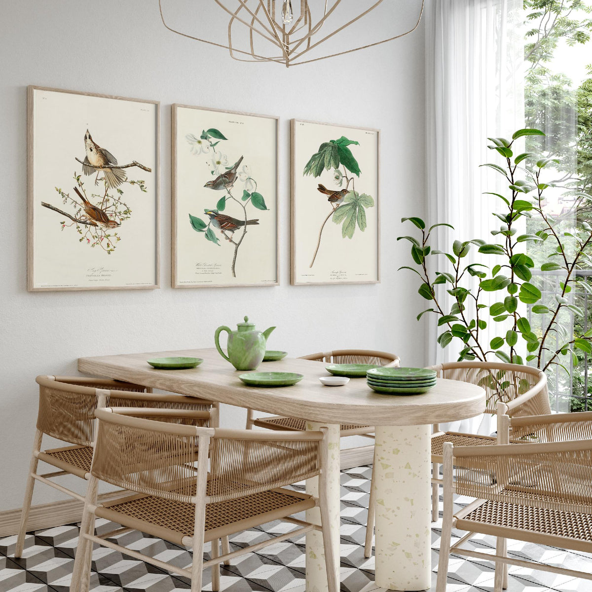 Set of Three John James Audubon Prints - Song White-throated and Swamp Sparrow - 3 Bird Paintings Poster Wall Art Gift Ornithology