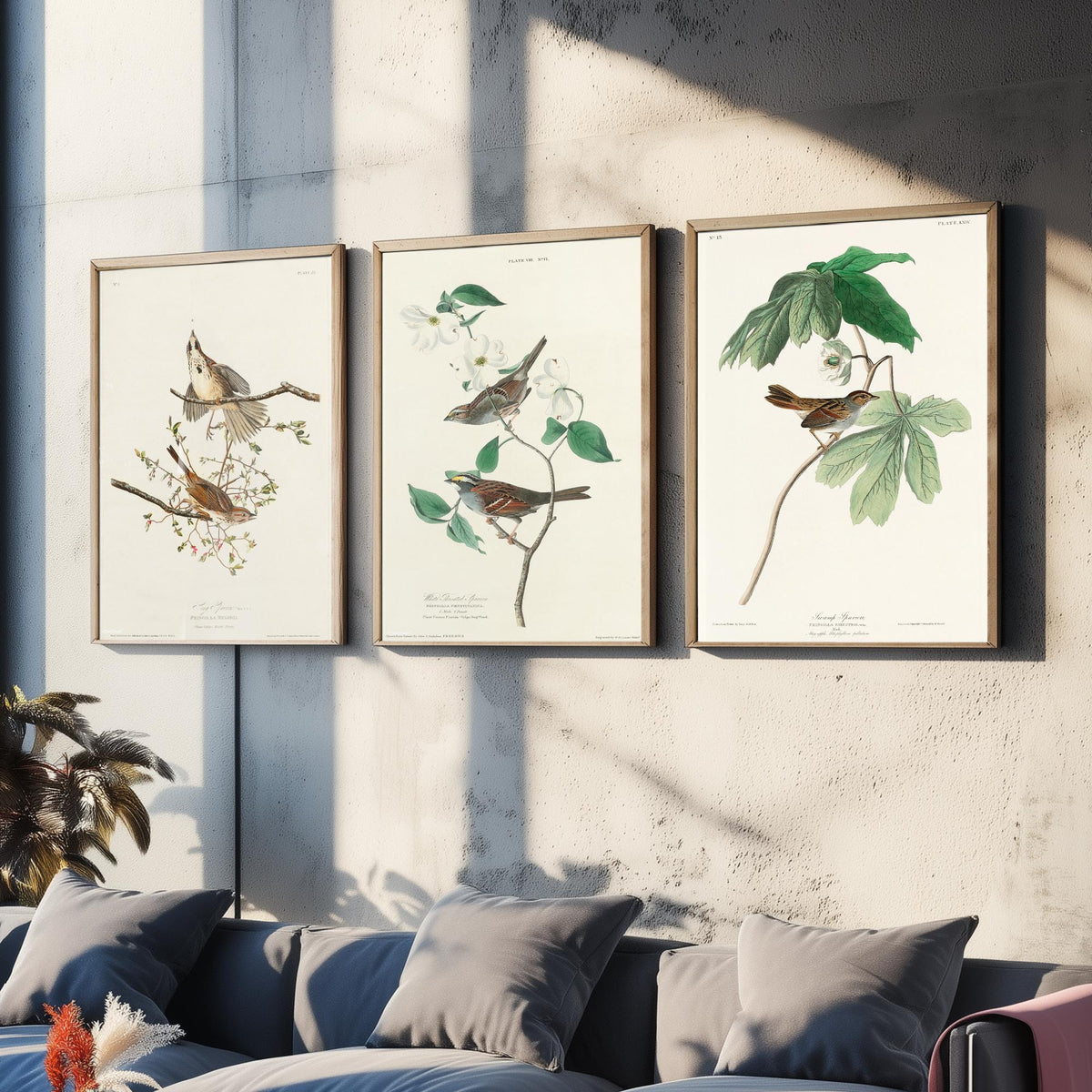 Set of Three John James Audubon Prints - Song White-throated and Swamp Sparrow - 3 Bird Paintings Poster Wall Art Gift Ornithology