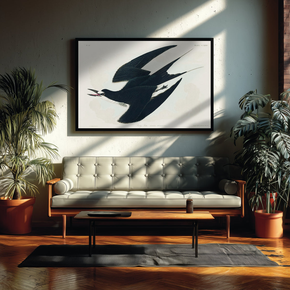Sooty Tern Art Print - John James Audubon Birds of America Poster - Vintage Ornithology Illustration