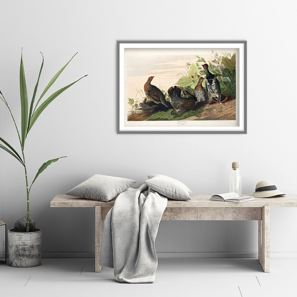 Spruce Grouse Art Print - John James Audubon Birds of America - Vintage Ornithology Illustration Poster