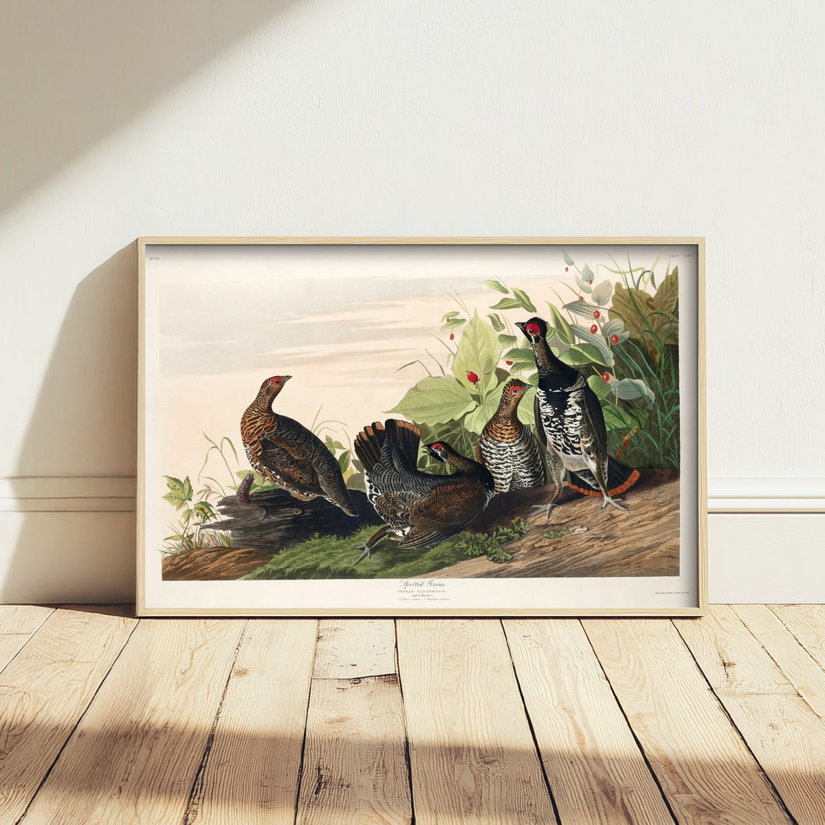 Spruce Grouse Art Print - John James Audubon Birds of America - Vintage Ornithology Illustration Poster