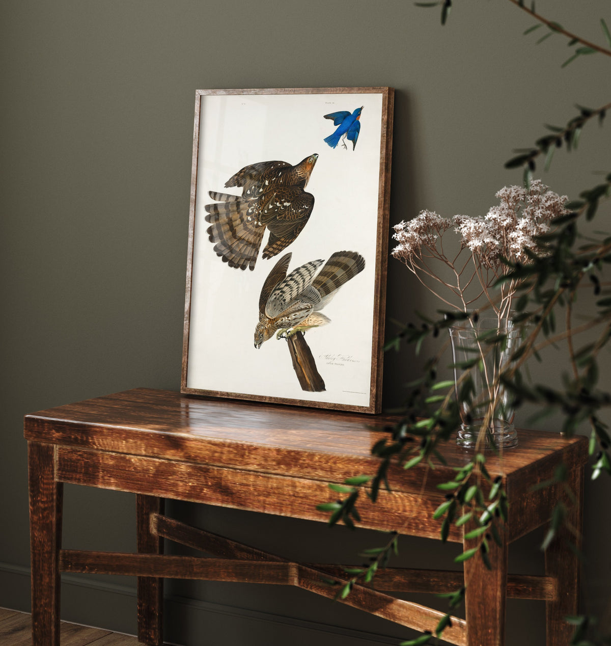 Coopers Hawk Art Print - John James Audubon Birds of America - Vintage Illustration Poster