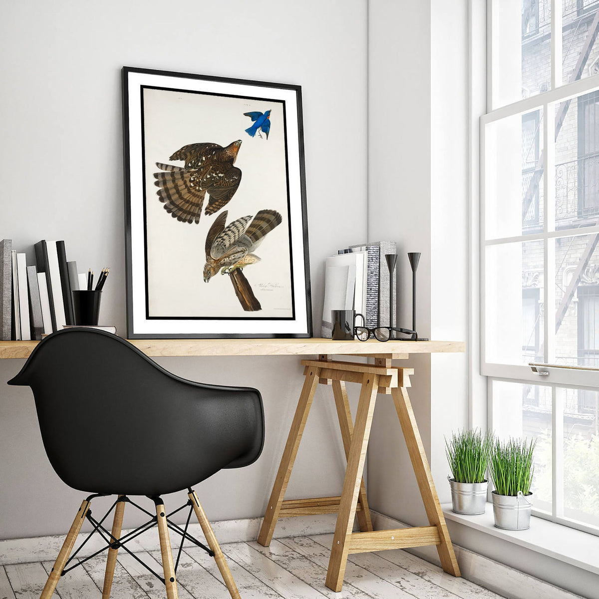 Coopers Hawk Art Print - John James Audubon Birds of America - Vintage Illustration Poster
