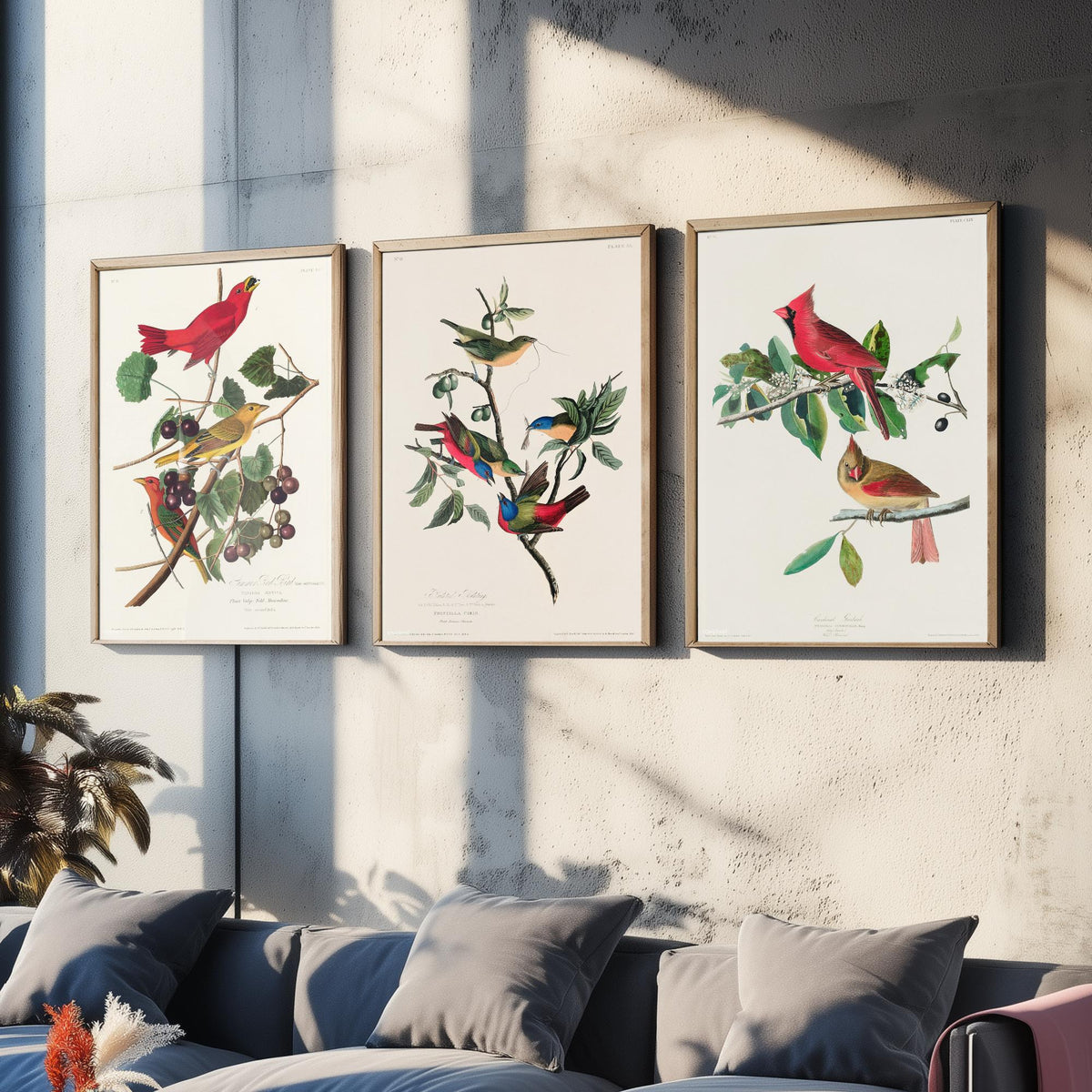 Set of Three John James Audubon Prints - Summer Tanager Painted Bunting Cardinal - 3 Bird Paintings Poster Wall Art Gift Ornithology