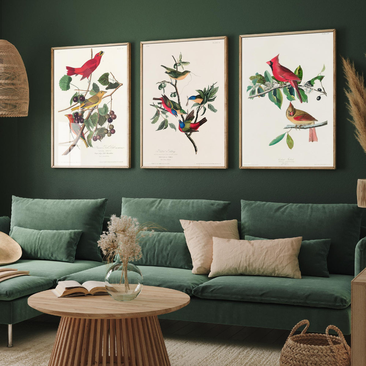 Set of Three John James Audubon Prints - Summer Tanager Painted Bunting Cardinal - 3 Bird Paintings Poster Wall Art Gift Ornithology