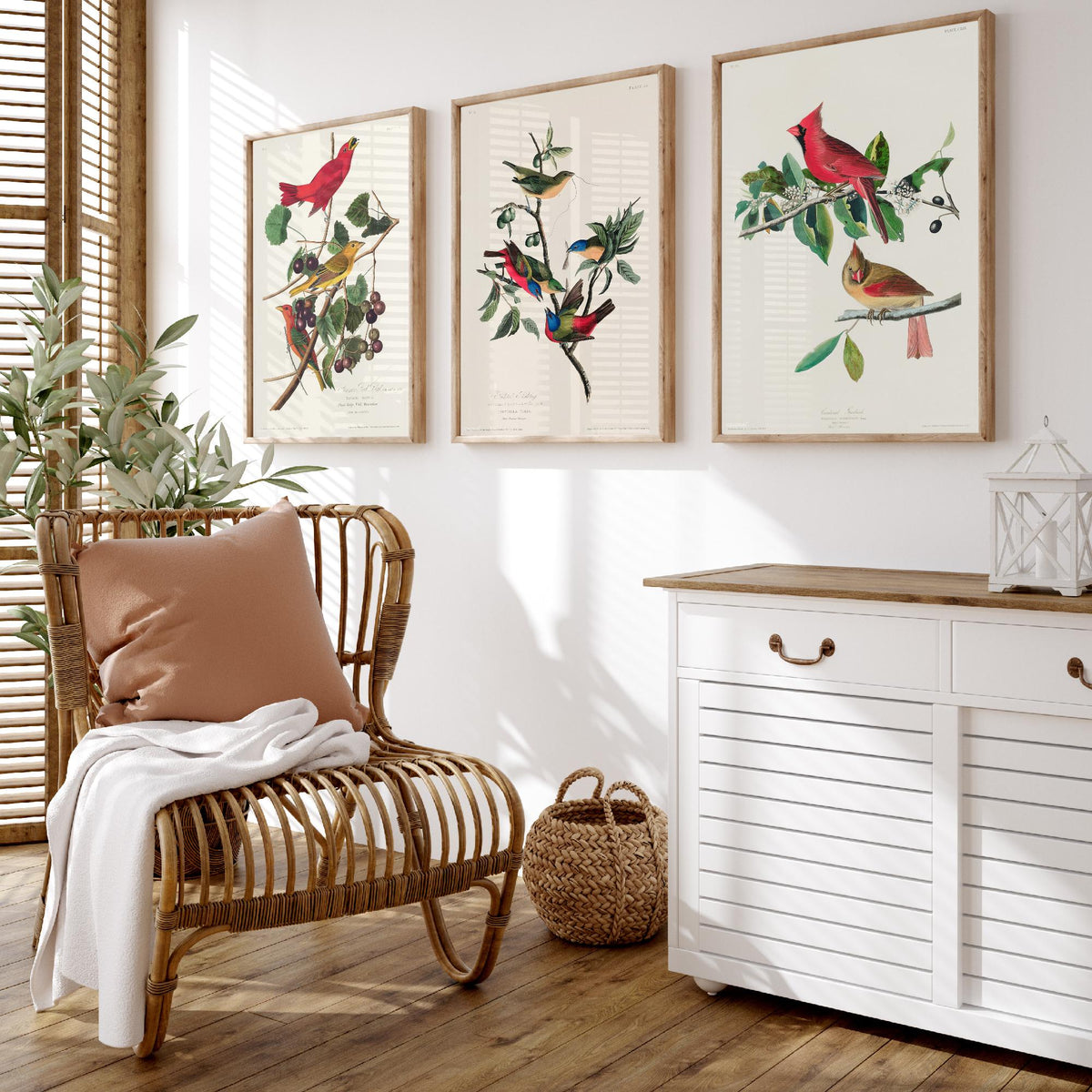 Set of Three John James Audubon Prints - Summer Tanager Painted Bunting Cardinal - 3 Bird Paintings Poster Wall Art Gift Ornithology