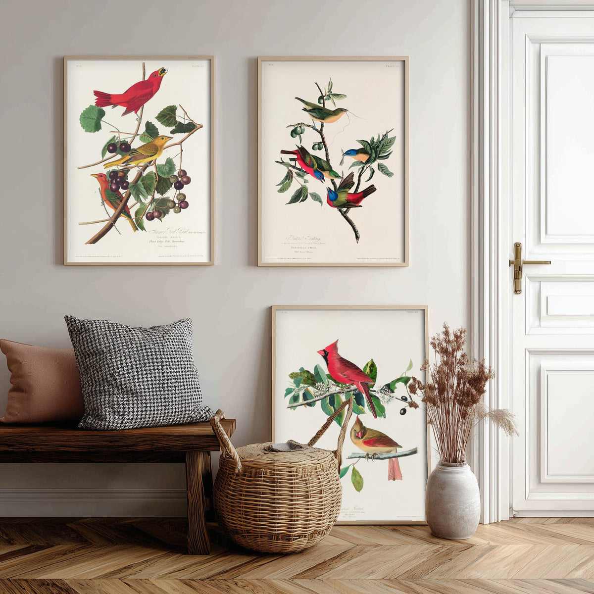 Set of Three John James Audubon Prints - Summer Tanager Painted Bunting Cardinal - 3 Bird Paintings Poster Wall Art Gift Ornithology