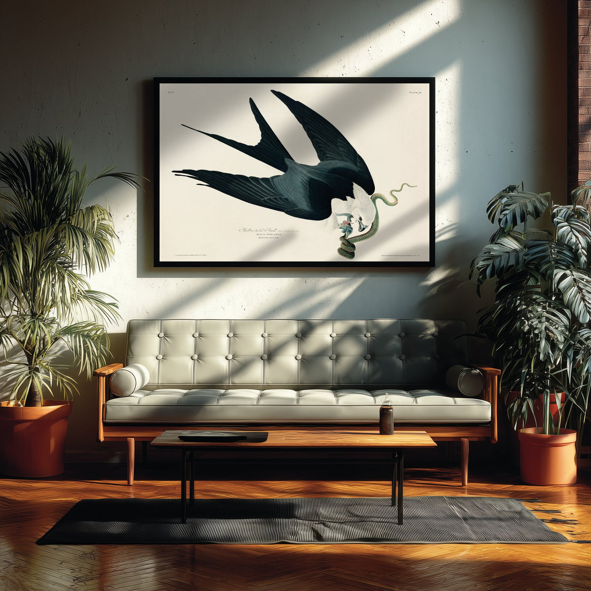 Swallow-tailed Kite Art Print - John James Audubon Birds of America - Vintage Illustration Poster