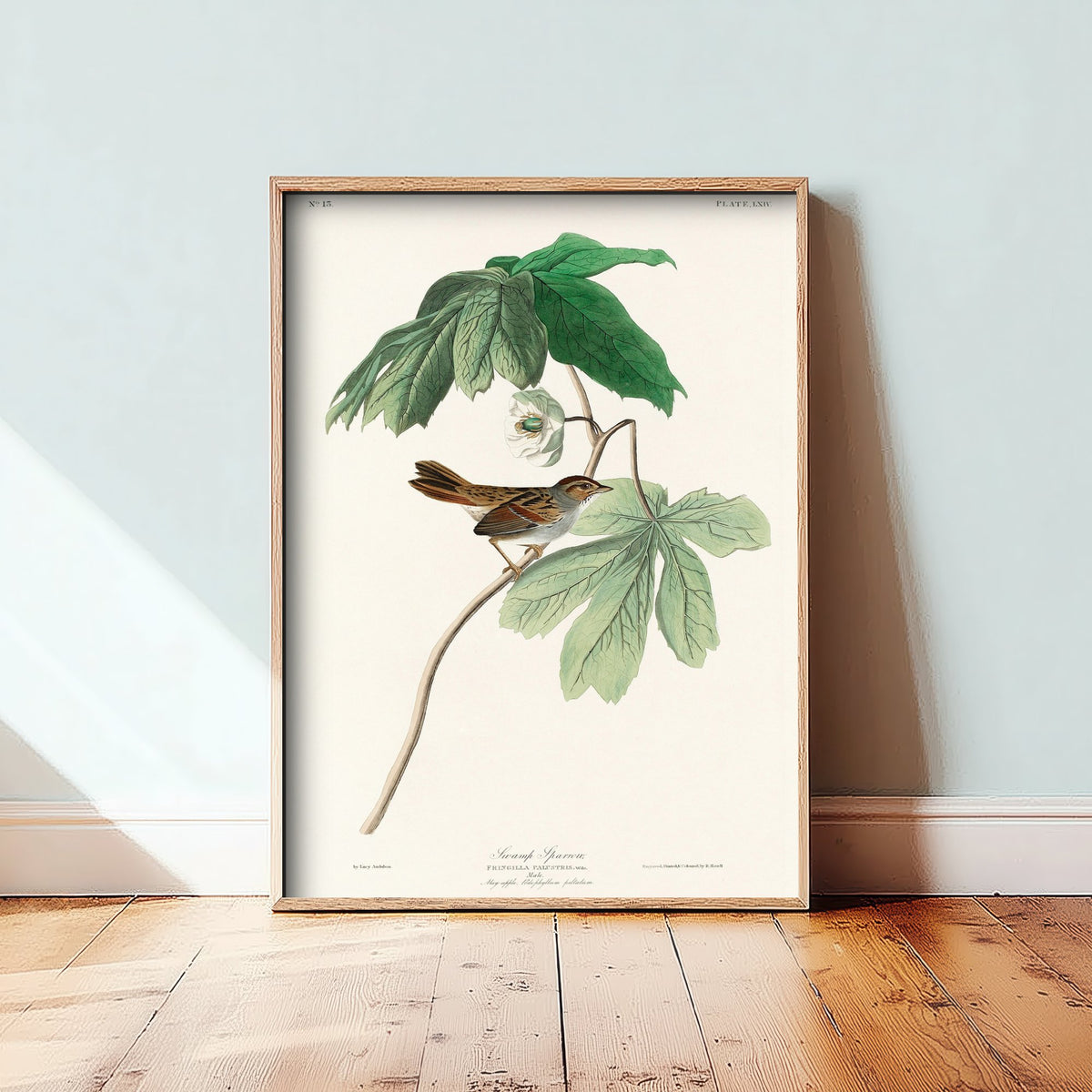 Swamp Sparrow Art Print - John James Audubon Birds of America - Vintage Ornithology Illustration Poster