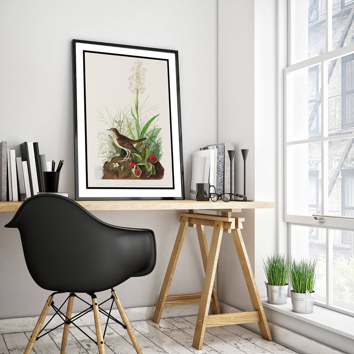 Veery Thrush Art Print - John James Audubon Birds of America - Vintage Illustration Poster