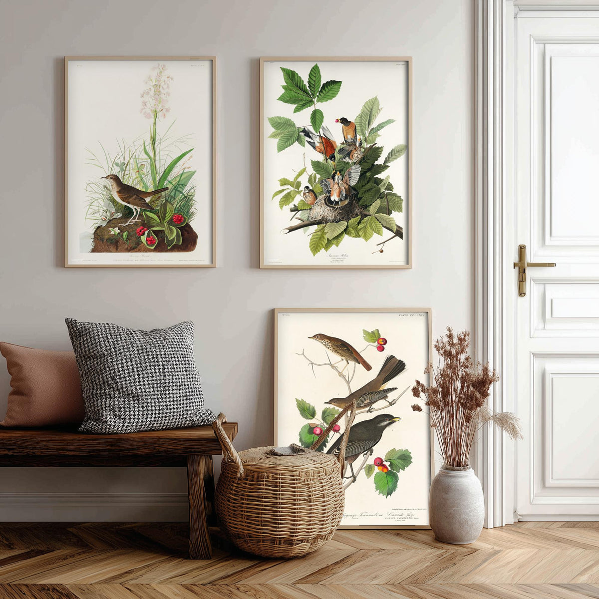 Set of Three John James Audubon Prints - Tawny Thrush American Robin Little Thrush - 3 Bird Paintings Poster Wall Art Gift Ornithology