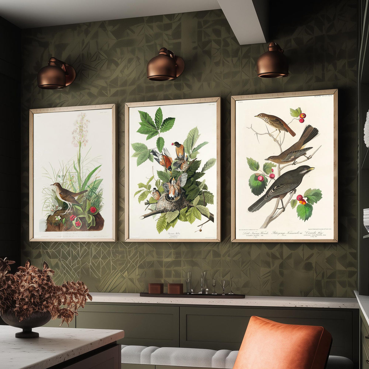 Set of Three John James Audubon Prints - Tawny Thrush American Robin Little Thrush - 3 Bird Paintings Poster Wall Art Gift Ornithology