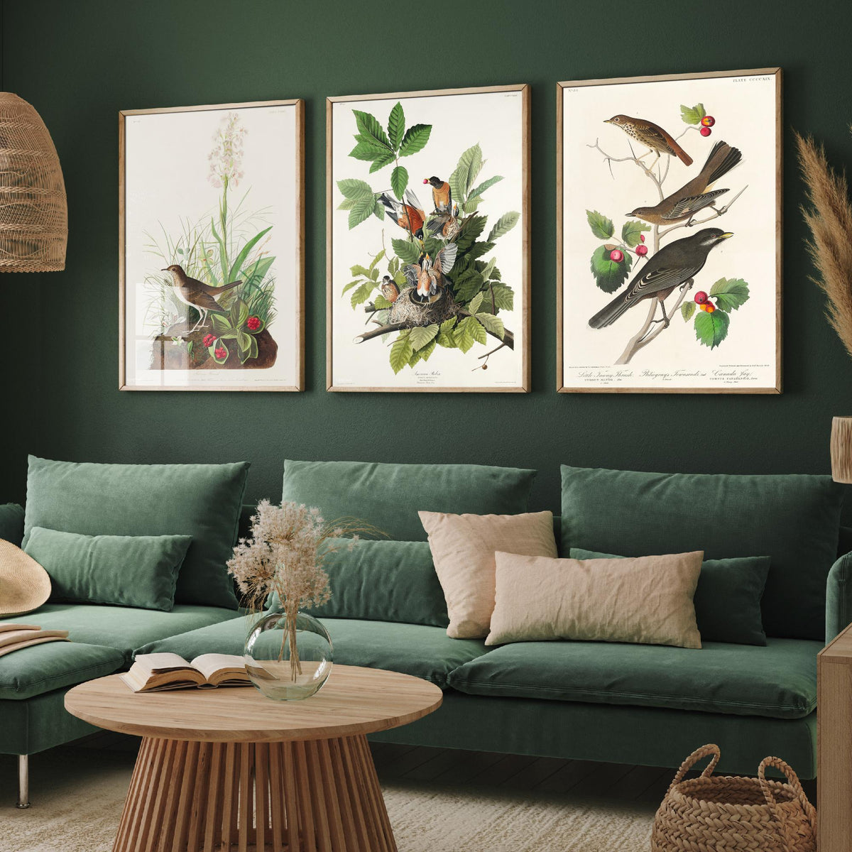 Set of Three John James Audubon Prints - Tawny Thrush American Robin Little Thrush - 3 Bird Paintings Poster Wall Art Gift Ornithology