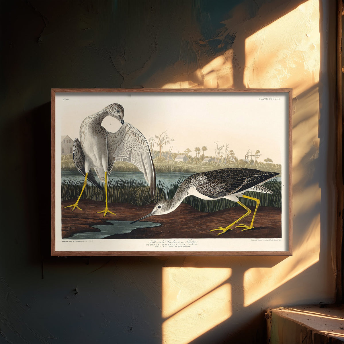 Greater Yellowlegs Art Print - John James Audubon Birds of America - Vintage Ornithology Illustration Poster