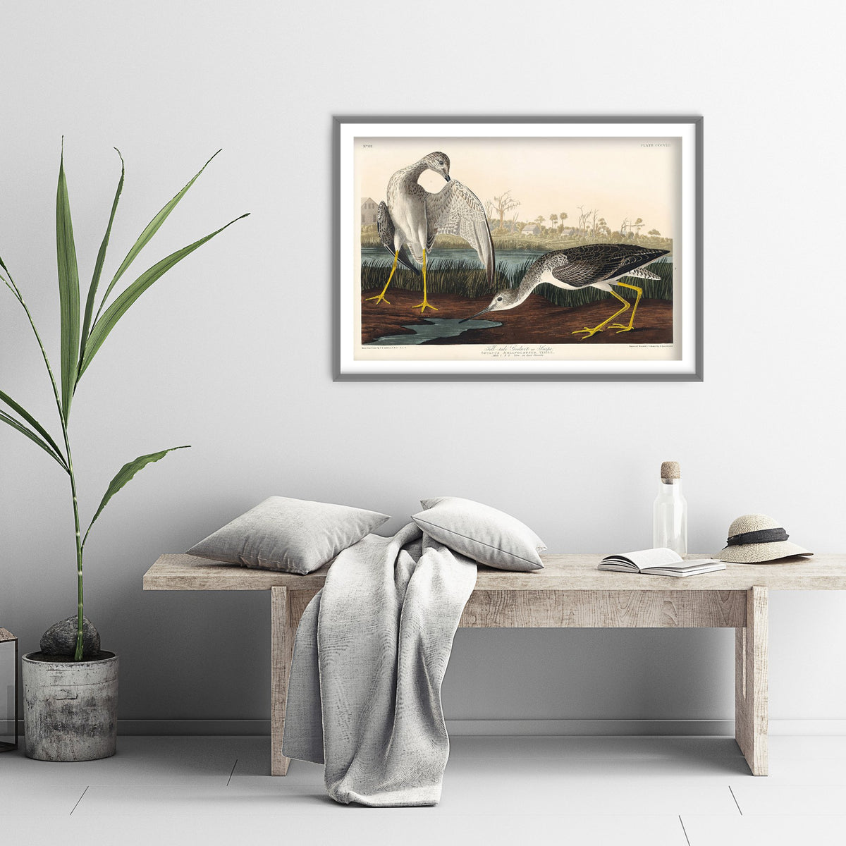 Greater Yellowlegs Art Print - John James Audubon Birds of America - Vintage Ornithology Illustration Poster