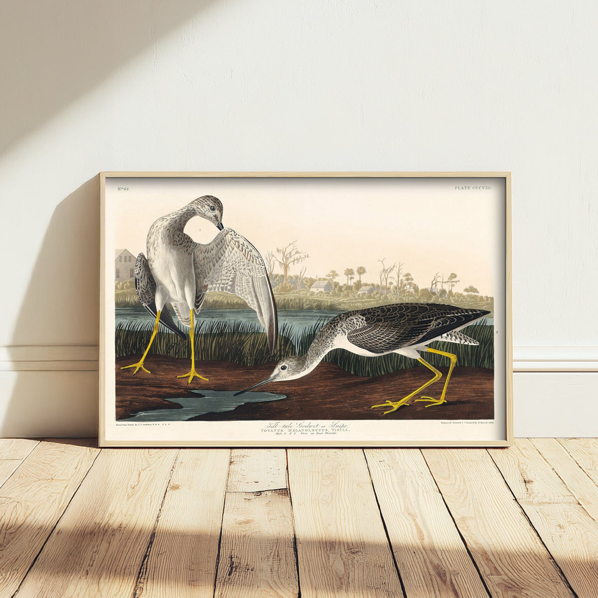 Greater Yellowlegs Art Print - John James Audubon Birds of America - Vintage Ornithology Illustration Poster