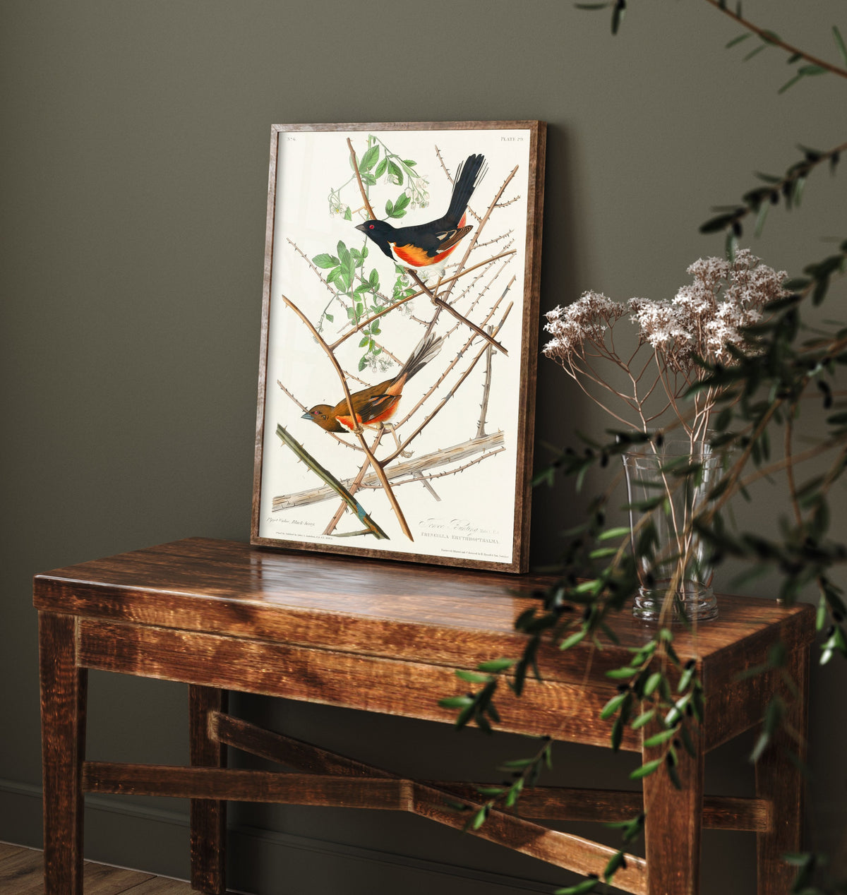 Eastern Towhee - John James Audubon Birds of America Art Print Poster Illustration