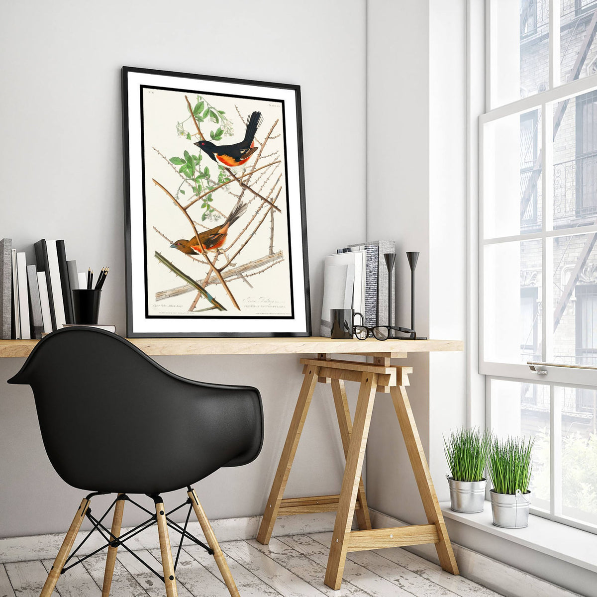 Eastern Towhee - John James Audubon Birds of America Art Print Poster Illustration