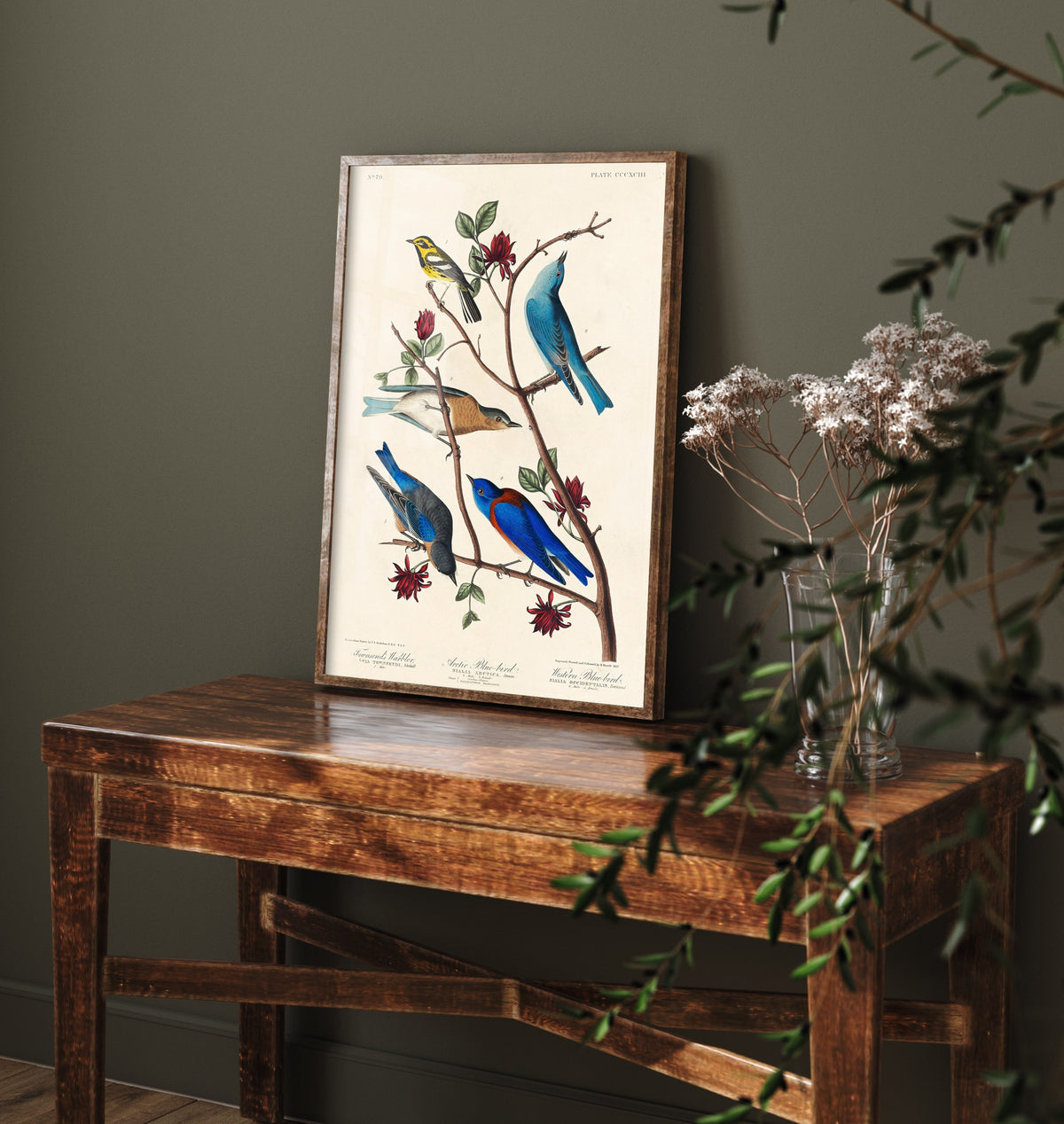 Townsend's Warbler - John James Audubon Birds of America Art Print Poster Illustration