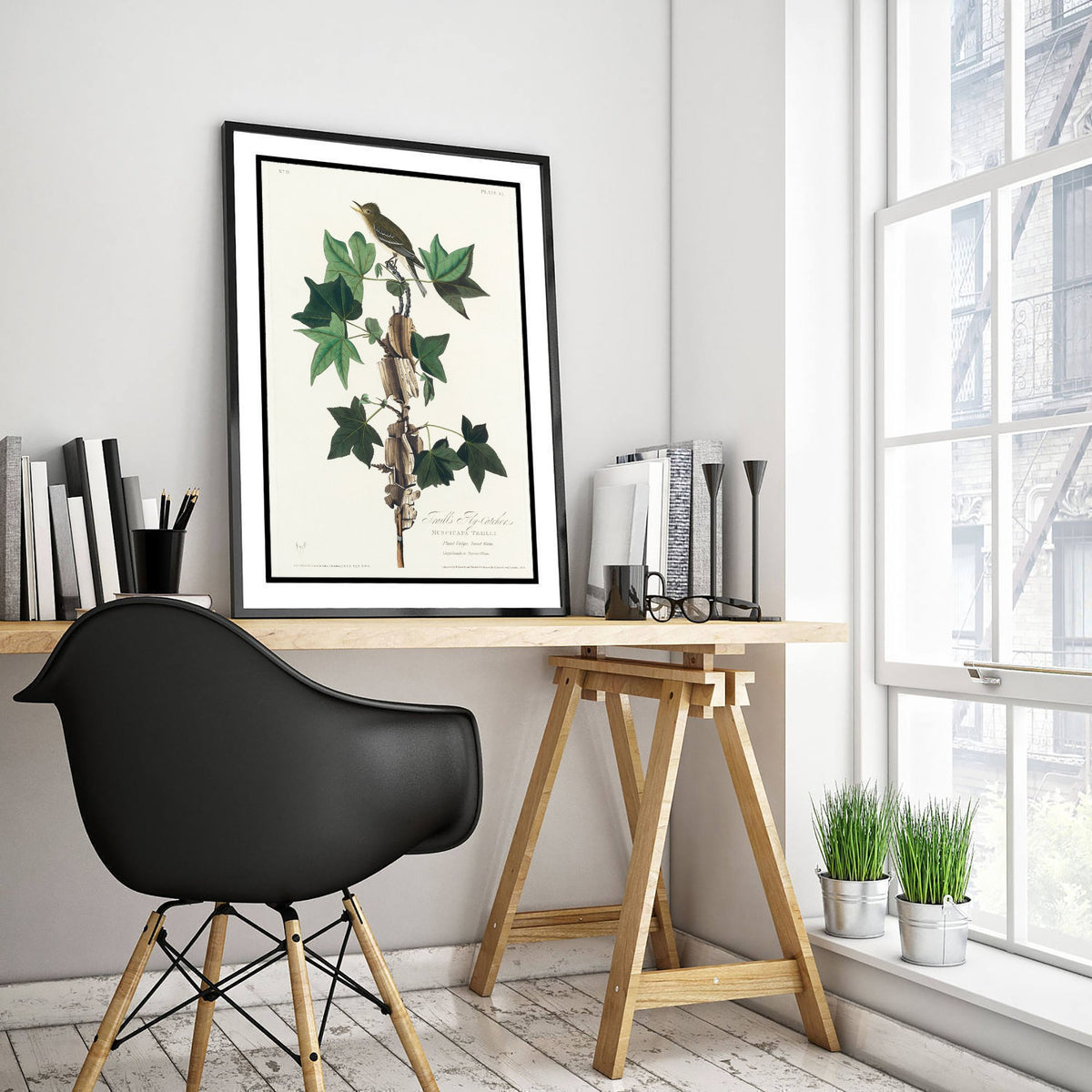 Willow Flycatcher - John James Audubon Birds of America Art Print Poster Illustration