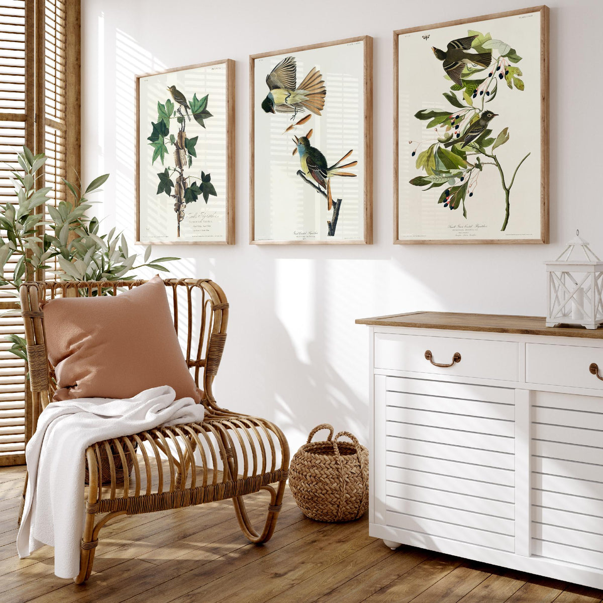 Set of Three John James Audubon Prints - Traill's Great Crested and Small Green Crested Flycatcher - 3 Bird Paintings Poster Wall Art