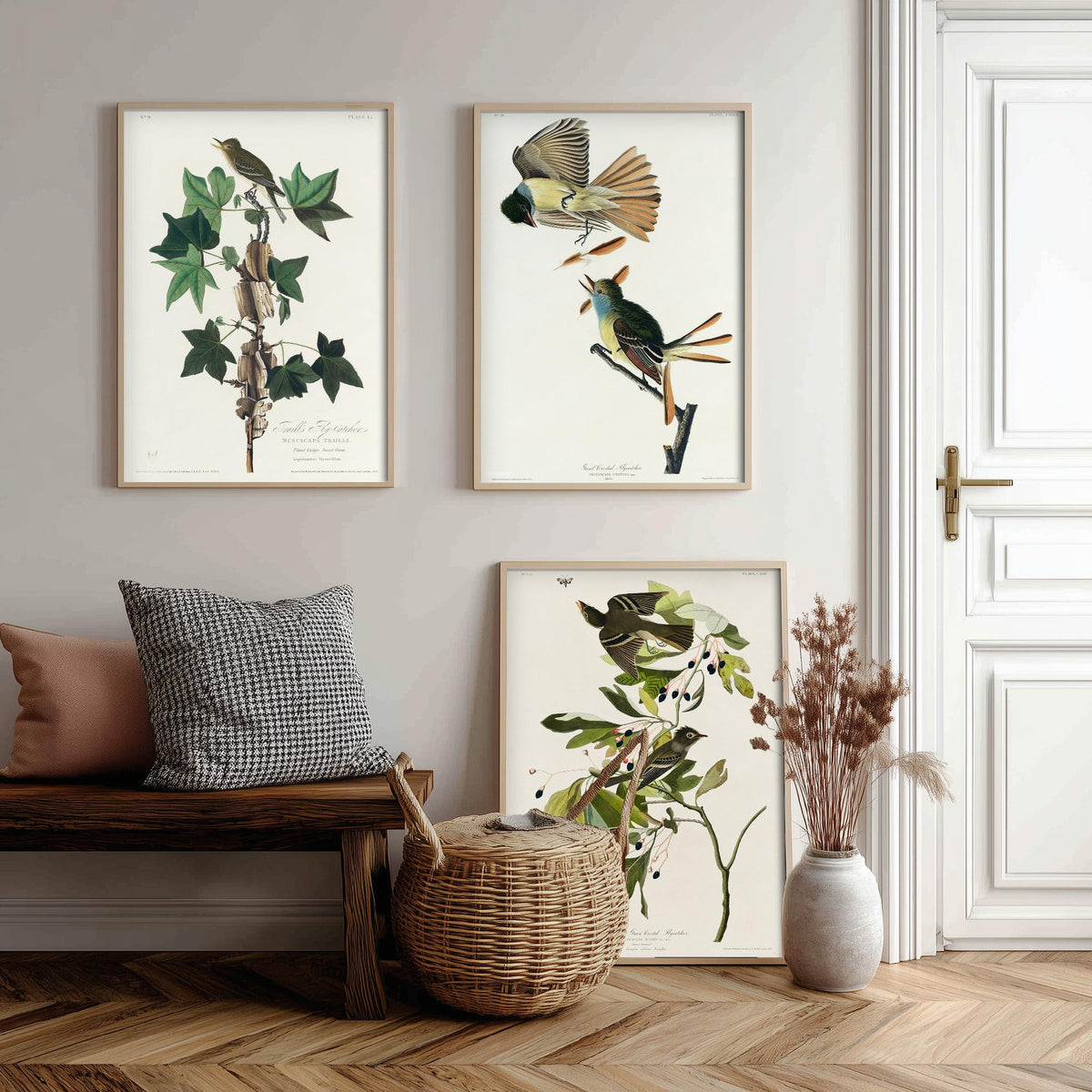 Set of Three John James Audubon Prints - Traill's Great Crested and Small Green Crested Flycatcher - 3 Bird Paintings Poster Wall Art