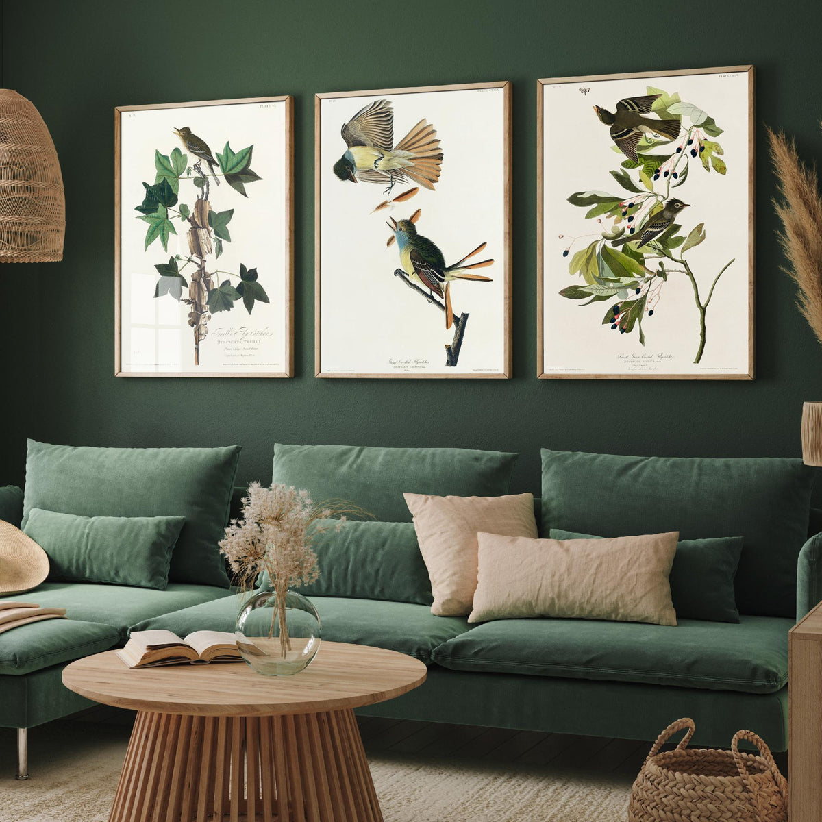 Set of Three John James Audubon Prints - Traill's Great Crested and Small Green Crested Flycatcher - 3 Bird Paintings Poster Wall Art