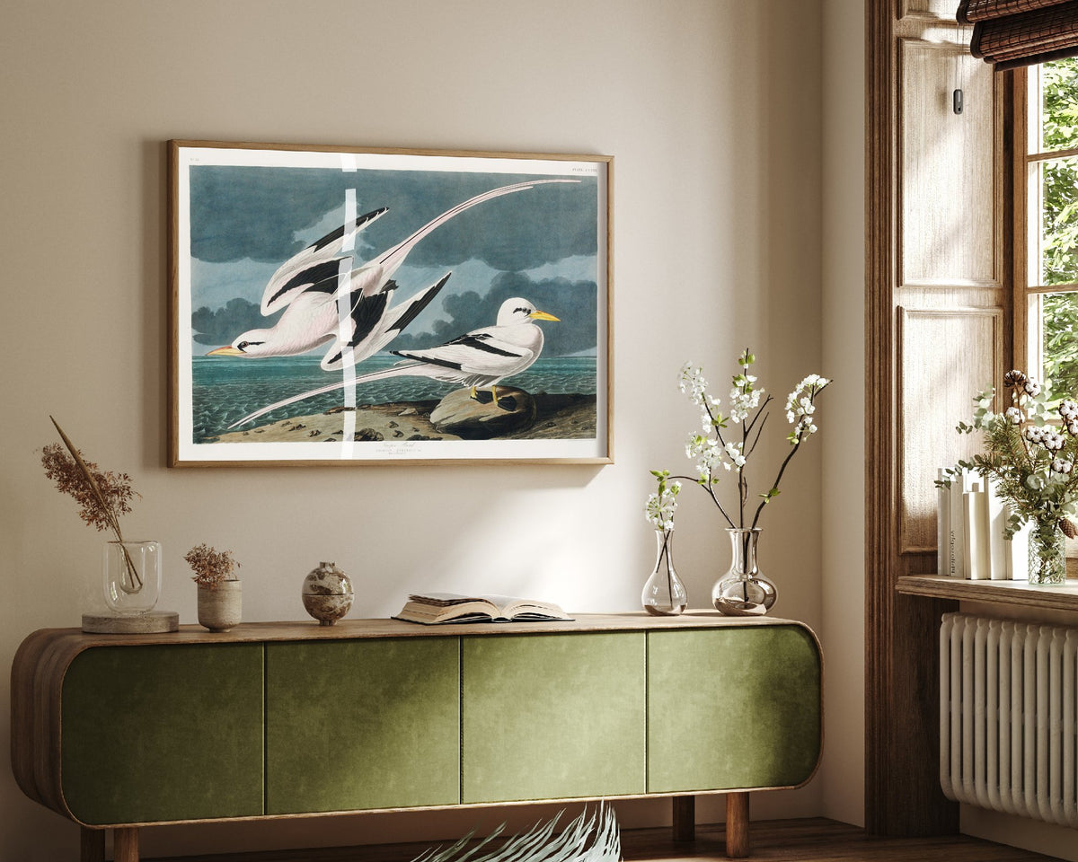 Tropicbird - John James Audubon Birds of America Art Print Poster Illustration