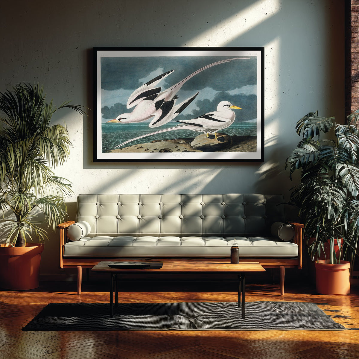 Tropicbird - John James Audubon Birds of America Art Print Poster Illustration