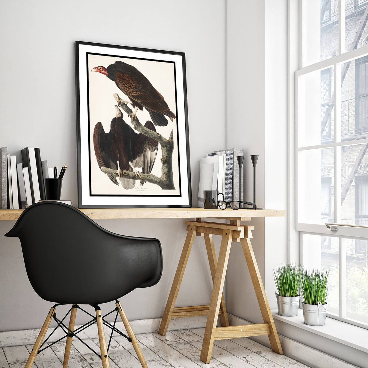 Turkey Vulture - John James Audubon Birds of America Art Print Poster Illustration