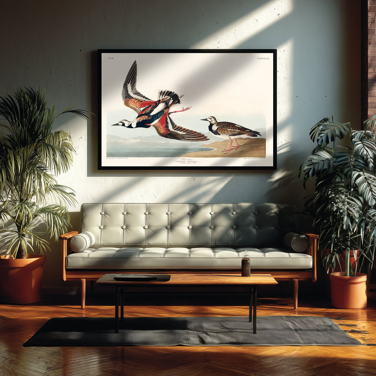 Ruddy Turnstone - John James Audubon Birds of America Art Print Poster Illustration