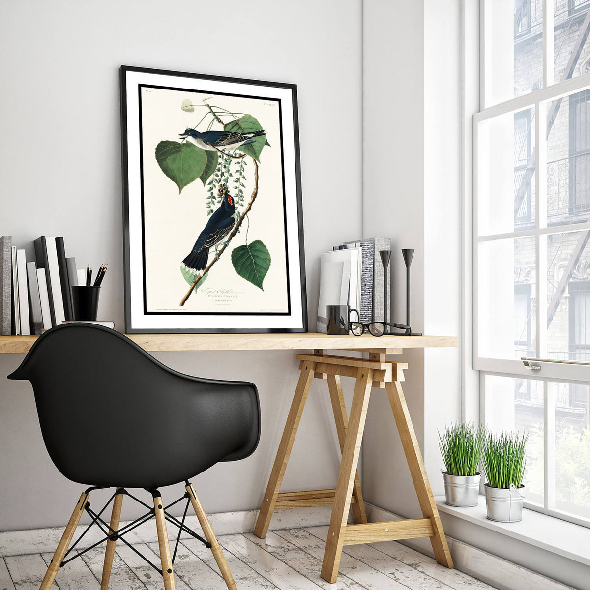 Eastern Kingbird Art Print - John James Audubon Birds of America - Tyrant Flycatcher Vintage Ornithology Illustration Poster